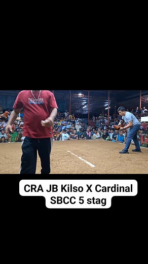 Superdokie Vlog on Reels