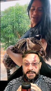 642K views · 28K reactions | IBAMA levou a jaguatirica Pituca #biologohenrique #animais #bichoesperto #biologo | Biólogo Henrique o Biólogo das Cobras | Facebook