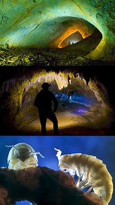 The Secrets of Movile Cave: A 5.5 Million-Year-Old Time Capsule #movilecave #timecapsule #ancienthistory #caveexploration | Unsolved Mysteries & Paranormal Activities