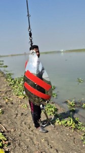 166K views · 1.9K reactions | Spone Lure Fishing Tips #fishing #fishingtips #froglurefishing | Fishing With Akash | Facebook