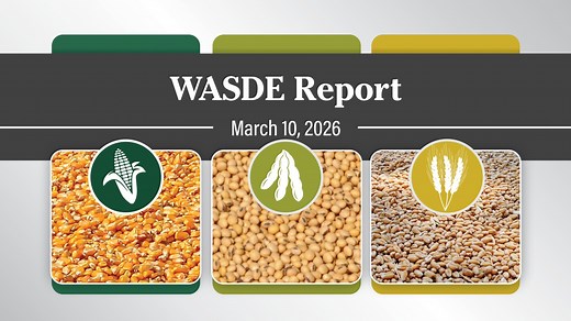 What You Need to Know: USDA's March 2026 Crop Production and WASDE Numbers