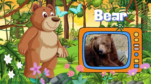 英语歌 | 野生动物歌 Wild Animals （Animal Song）