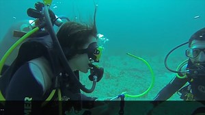 1K views | Sometimes, taking the plunge (literally!) means a creative marriage proposal! ❤️ #SheSaidYes #LoveStory #UnderwaterProposal | AXN Asia | Facebook