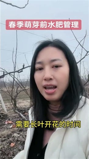 Spring management of pear trees #fruittreemanagement #orchardmanagement #peartreemanagement #newf...