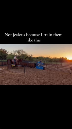 Mastering Calf Roping Techniques in Texas and Montana