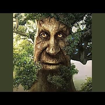 wise mystical tree type beat