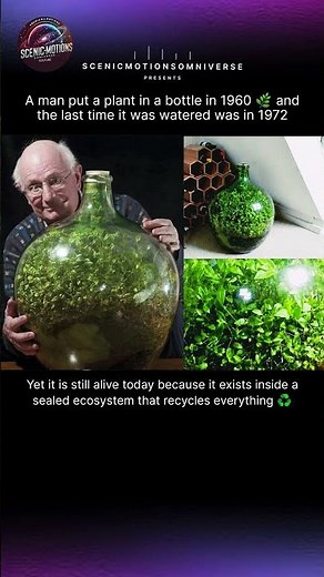 A Plant That Survives Without Water for Decades 🌿