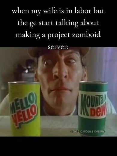 Creating a Project Zomboid Server During Labor