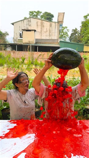 hai chị em trêu chọc nhau siêu dễ thương 🍷🌶🌹🍎🥤🍫🍬🍣🥣🍓🍅👼👶🏻♥️👴 #shorts #cute