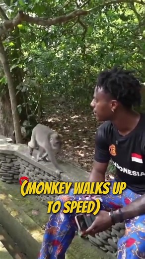 Speed and monkey became friends 😂…. #ishowspeed #fyp #viral