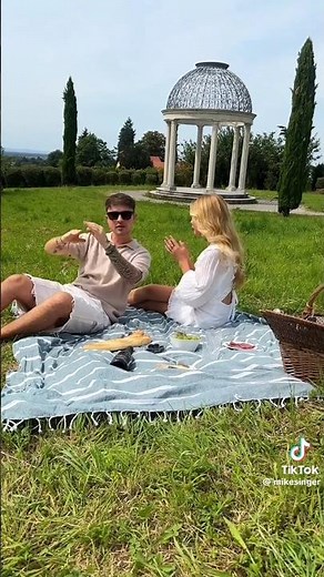 Mike Singer - Picknick (Lyrics)