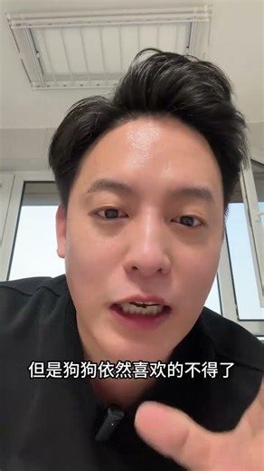 The Hottest Toy Trend in the Dog World - Has Your Pup Seen It