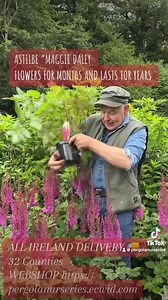 Astilbe “Maggie Daley “ flowers for months, winter hardy and lasts for years. Planting time is from now, Available in webshop https://pergolanurseries.ecwid.com ALL IRELAND DELIVERY 🚚 32 Counties WEBSHOP https://pergolanurseries.ecwid.com Pergola Nurseries Garden Corner, Virginia,Co Cavan A gardeners oasis of quality plants Open Tuesday to Saturday 10.30-6 Open Sundays 2-6 | Pergola Nurseries Garden Corner