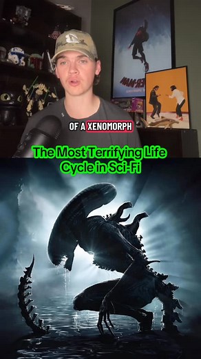 Movie Shark | The Life Cycle of a Xenomorph Stage 1: Ovomoroh or Egg Stage 2: Facehugger Stage 3: Chestburster Stage 4: Drone Stage 5: the warrior,... | Instagram