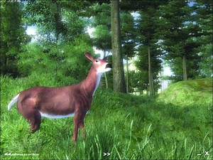 Gamebryo se hace coreano