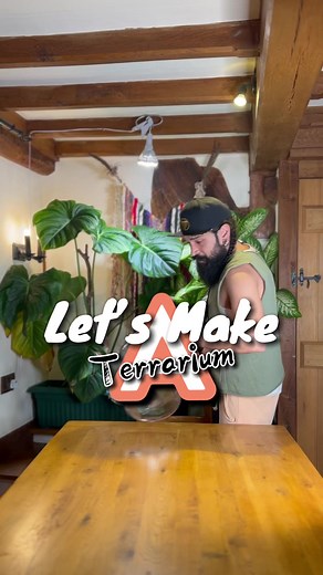 I fancied making a terrarium!I had a few begonia leaves that I thought could use a home so I decided to make a bio active terrarium. No I am rarely satisfied with what I make and this time it’s no exception! I’m not overly « hard » over it but it works and I enjoyed the process. Not to mention it will still provide the perfect condition for the plants to grow in.I don’t Intend to have this as a closed terrarium and these plants will be taken out when they get too big so this will be a transition