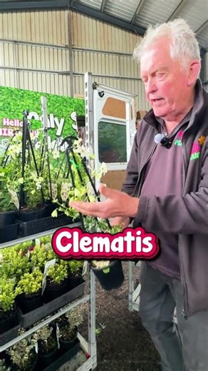 🌿🎉 Spring School Holiday Specials! 🎉🌿