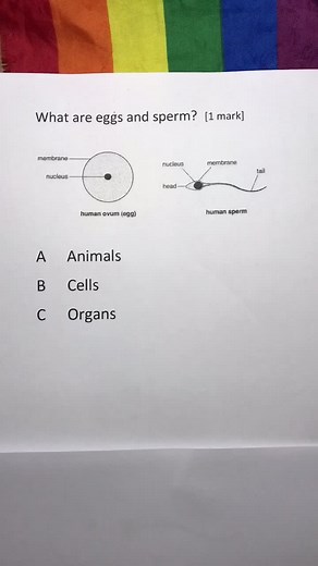 Effective Biology Revision Techniques for Exams | Science Teacher Tips