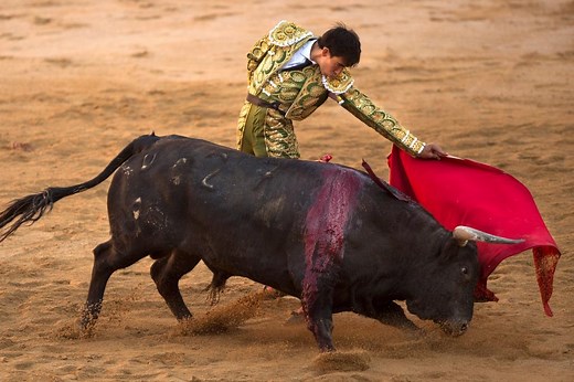 World’s worst bullfighter returns from goring, gets gored again