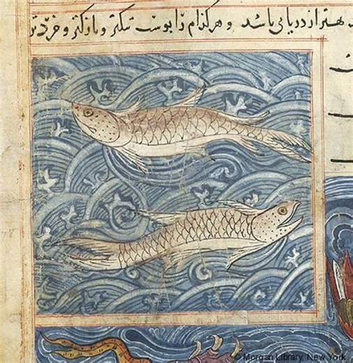 Exploring Medieval Fish Art: A Unique Look at Fish in Art History