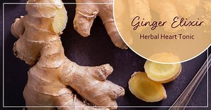 Ginger Elixir: An Herbal Heart Tonic