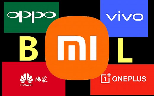 『解BL锁』B站最强 之 一个视频解决你手机的BL锁困扰