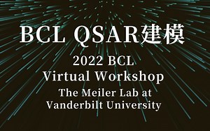 BCL QSAR建模和虚拟筛选 - 2022 BCL Virtual Workshop - Tutorial 3