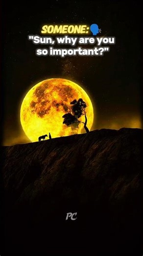 The Power of the Sun ☀️ | How Solar Energy Can Power the Entire Earth#space #spacefacts #shorts