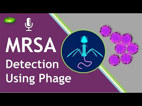 MRSA | Detection | Phage | Detection techniques | Bacteriophage | Basic Science Series