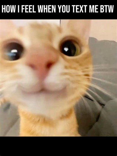 Emotions When You Get a Text: A Relatable Meme