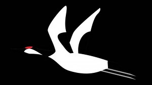 Loop Animation Cranes Flapping Their Wings Stock Footage Video (100% Royalty-free) 1105278253 | Shutterstock