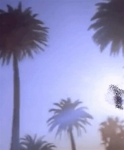 2019 Aesthetic Trends in GIFs