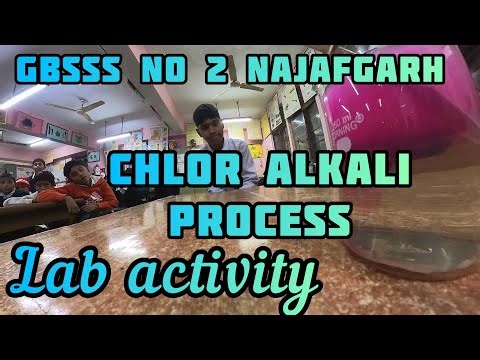 Chlor alkali Process class 10 practical. DSSSB TGT natural science #insta360 #class10 #science #doe