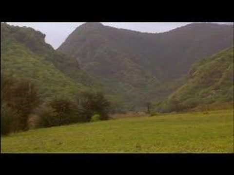 Nephis Bountiful in Arabia: The Book of Mormon