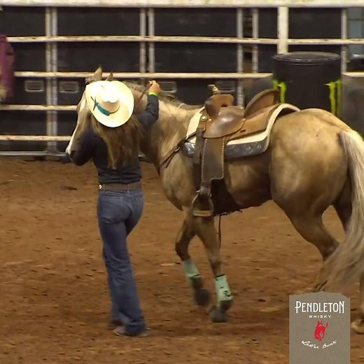 158K views · 14 reactions | Michelle Darling and her horse Martini take the win in their home state! Darling's 15.48 second run made her the champion of the WCRA Rodeo Stampede at the E (With Pendleton Whisky) | PBR | Facebook
