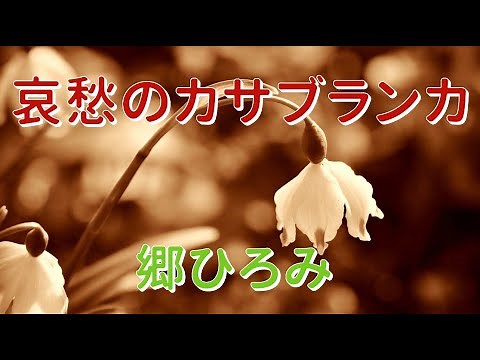哀愁のカサブランカ／郷ひろみ【歌詞付き】