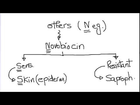 TA7 MICRO USMLE HIT 1: Gm + lab algorithm