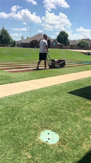 The HOA didn’t like the lawn being painted so let’s cut it!!! #lawnstripes #lawncare #lawn #petty #lawntok
