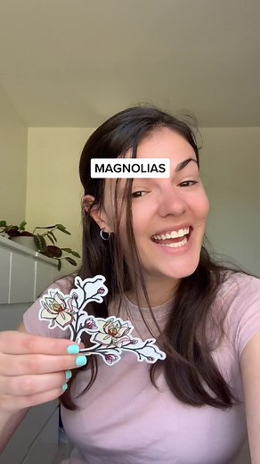 Understanding the Symbolism of Magnolias in Floriography
