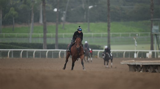 Barnes seeks to capture his first career G1 in the Malibu Stakes. The $3.2M son of Into Mischief has dazzled this week and looks like he’s come into his own. | Santa Anita Park