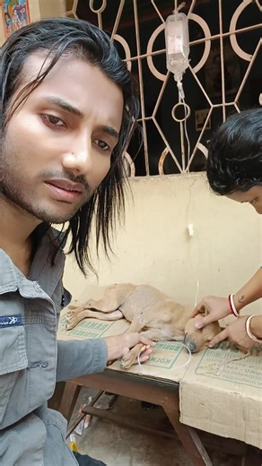 get well soon #p3tsl0v3r