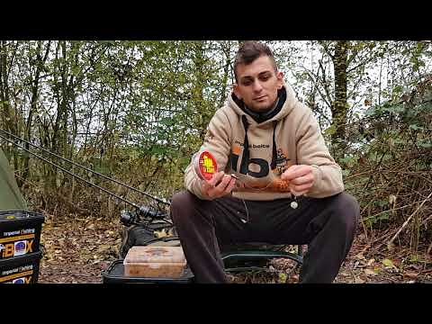 Tipps und Tricks zum Flussangeln auf Karpfen - erfolgreicher angeln am Fließgewässer!