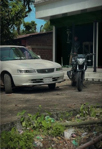 Exploring My Toy Collection's Unique Features