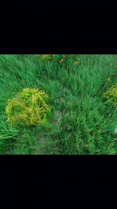 On my pcccccc 🔥🔥🔥 🏠 Addons Maker #minecraft #mam #addonsmaker #minecraftpe #minecraftbuild #minecraftbuilding #minecraftmemes #minecraftideas | AddOns Maker