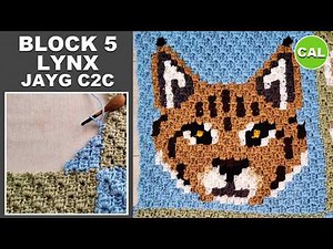 Block No. 5 – JAYG C2C Lynx Tutorial | Forest Animals Blanket