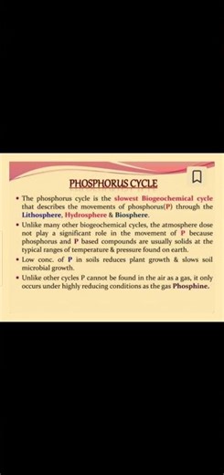 Introduction to phosphorus cycle #botanywithyoutube