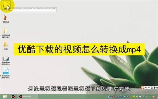 优酷下载的视频怎么转换成mp4，优酷下载的视频转换成mp4