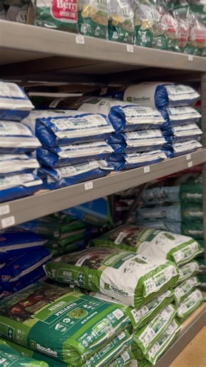 From shelf to stable, bagged forage makes feeding simple, consistent, and reliable 🌾💚. It’s about giving your animals the very best, without the guesswork. Want to know more about why bagged forage is a smart choice? 🐴✨ 👉 Read our latest blog here: https://www.standleeforage.com/standlee-barn-bulletin/ #Standlee #StandleeForage #ForageFirst #FarmToFeed | Standlee