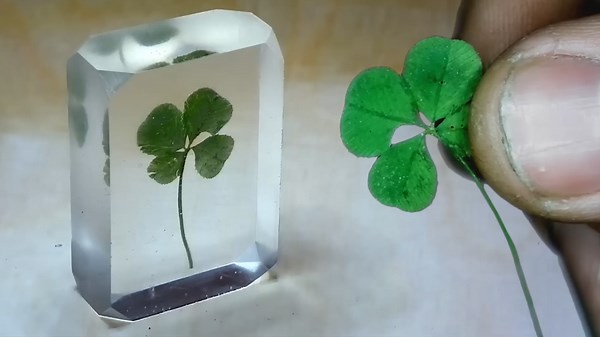 DIY Resin Craft: Preserving a Four-Leaf Clover in Clear Resin
