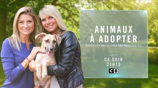 Ce soir à 21h15, ne manquez pas Animaux à Adopter. Découvrez le travail des équipes de la SPA et restez sensibles à la cause animale. | C8